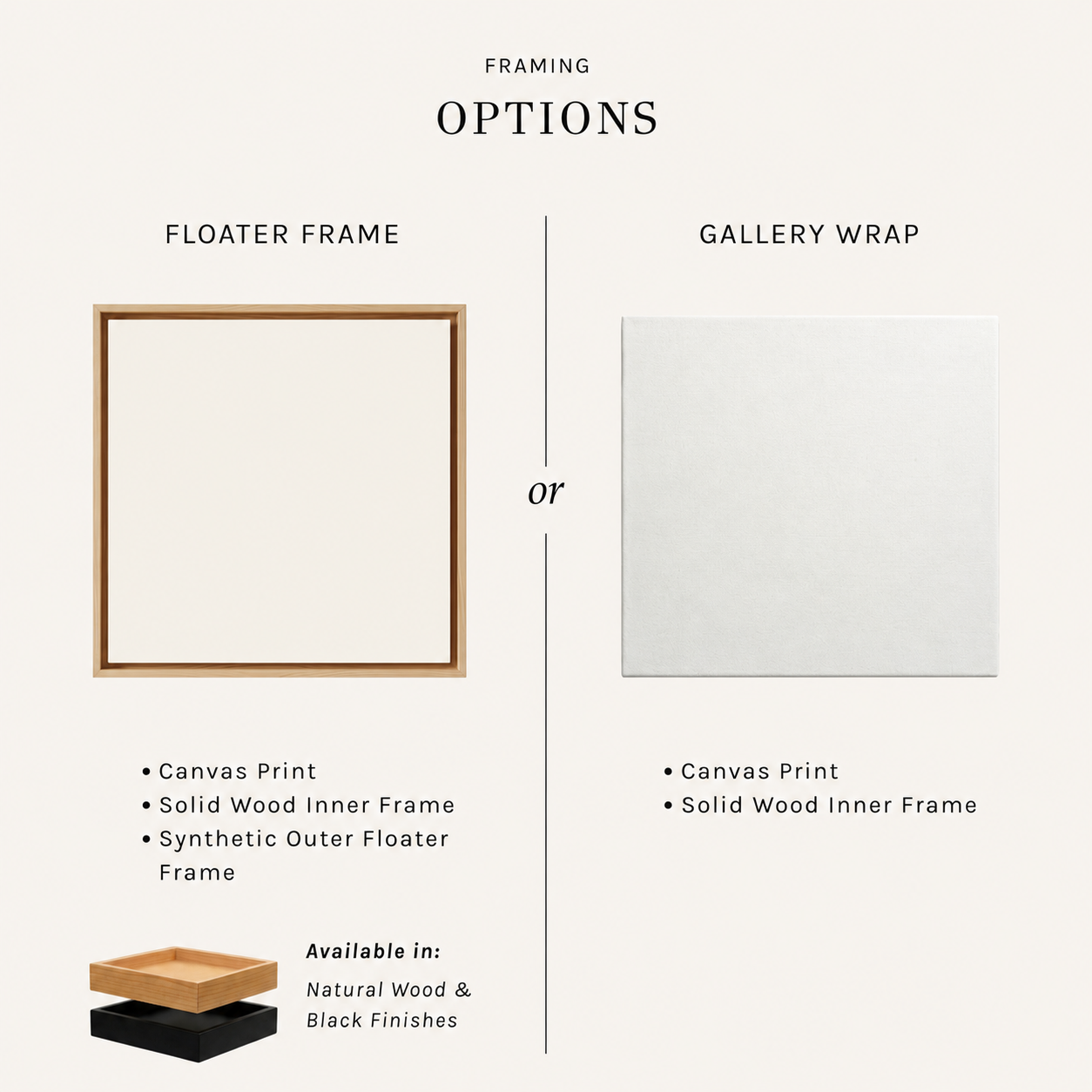 Framing options showing floater frame and gallery wrap with key specifications